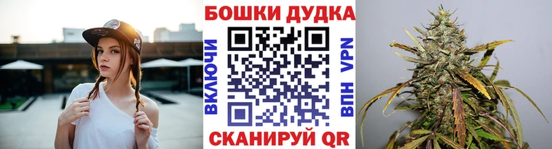 omg   где можно купить   Сураж  Конопля Ganja 